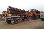 Transport, Holztransport
